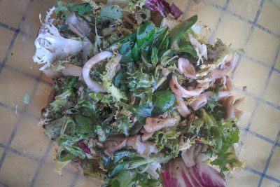 Ensalada calamares chipirones setas Wikicocina