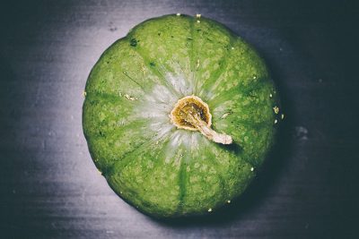 Cultivar calabazas y calabacines