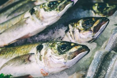 Pesca sostenible. Como comprar pescado de forma artesanal