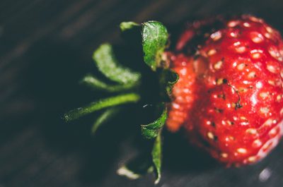 Cómo cultivar fresas